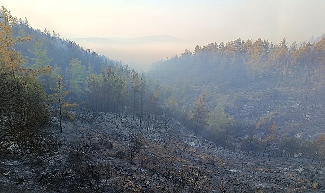 Antalya Kumluca'daki orman yangınının enerjisi düşürüldü