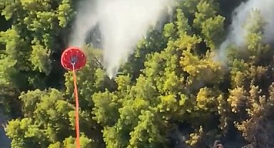 Antalya'da orman yangını
