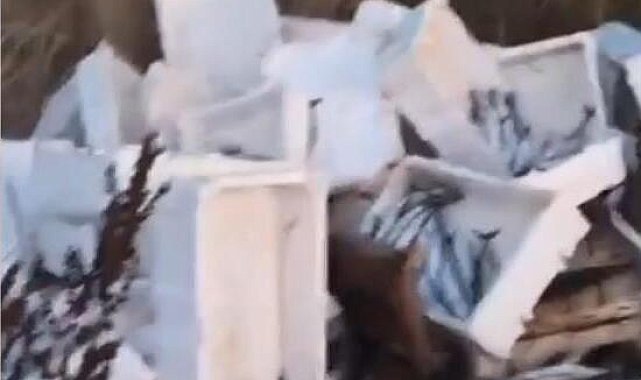 Arnavutköy'de kasalar dolusu bozuk balığı araziye döktü; 40 bin lira para cezası kesildi