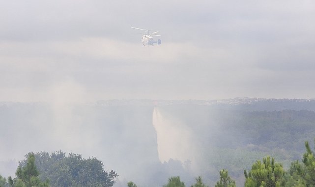 Arnavutköy'de ormanda yangın -1
