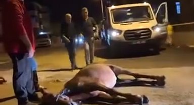 Ata şiddet uygulandığı iddiası; 2 şüpheli gözaltında
