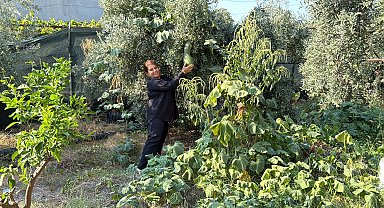 Atalık tohumları gelecek nesillere taşıyor