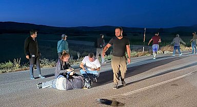 Avrupa turuna çıkan Fransız kadın, motosikletiyle koyunlara çarpıp yaralandı