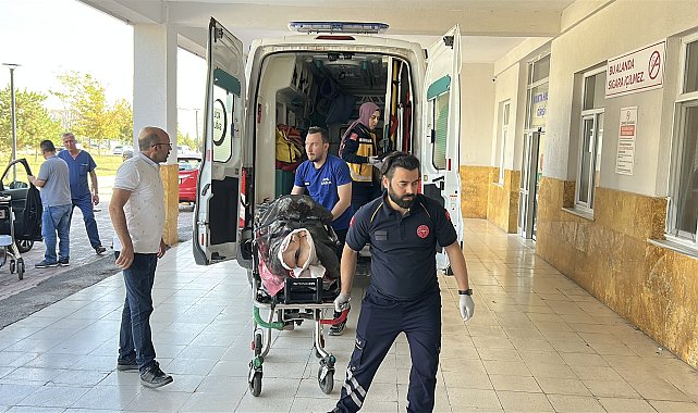 Ayı saldırısına uğrayan çoban yaralandı