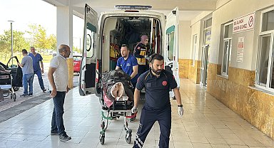Ayı saldırısına uğrayan çoban yaralandı