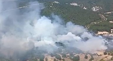 Balıkesir'de orman yangını