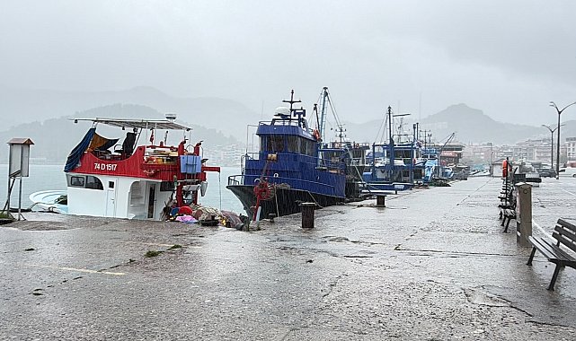 Bartın'da kuvvetli rüzgar; ağaçlar devrildi