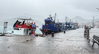 Bartın'da kuvvetli rüzgar; ağaçlar devrildi