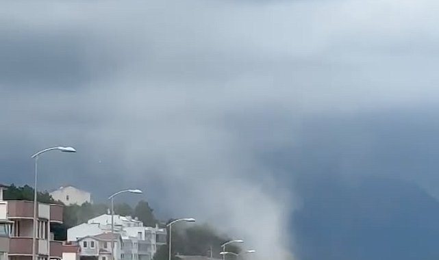 Bartın'da kuvvetli rüzgar; ağaçlar devrildi
