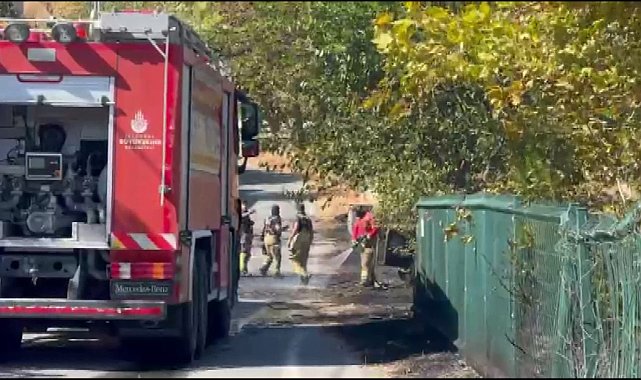 Beylikdüzü'nde otluk alanda çıkan yangın minibüse sıçradı