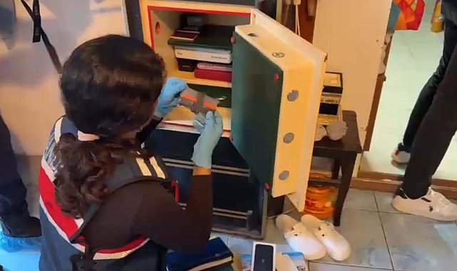 Bodrum merkezli 5 ilde suç örgütüne operasyon: 12 gözaltı