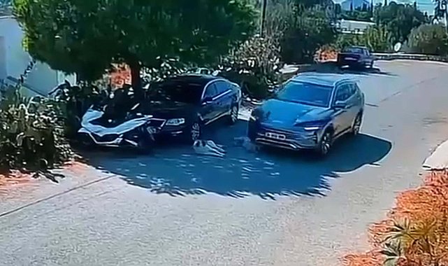 Bodrum'da otomobil, iki köpeğin üzerinden geçti; o anlar kamerada