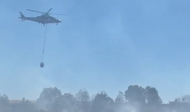 Bolu'da yangın; otlar tutuştu, alevler ağaçlara sıçradı