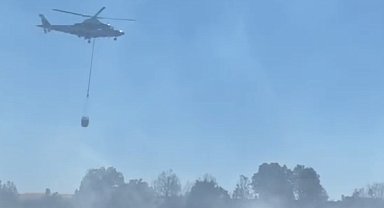 Bolu'da yangın; otlar tutuştu, alevler ağaçlara sıçradı