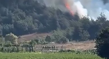 Bursa'da orman yangını