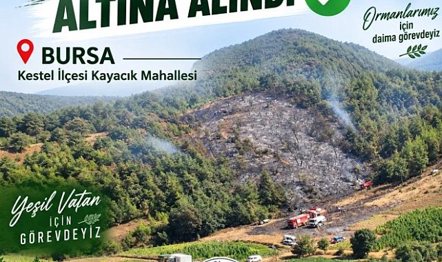 Bursa'da orman yangını