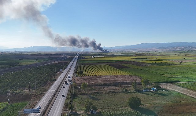 Bursa'da soğuk hava deposunda yangın