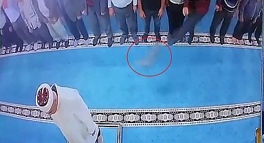 Camide kediye tekme atan kişi gözaltına alındı
