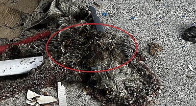 Çatı temizliği sırasında aynı aileden 4 kişiye arılar saldırdı