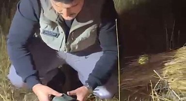 Doğa Koruma'dan kullanımı yasak ses cihazlarına karşı mücadele