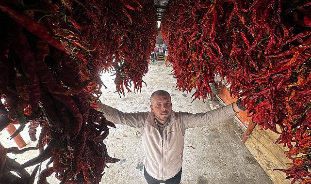 Edirne tava ciğerinin vazgeçilmezi Karaağaç biberinde kurutma dönemi