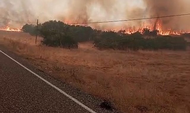 Elazığ'da örtü yangını