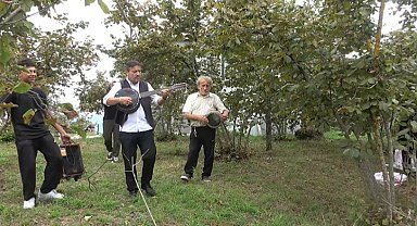 Fındık bahçesinde hasada 'çalgılı mola'