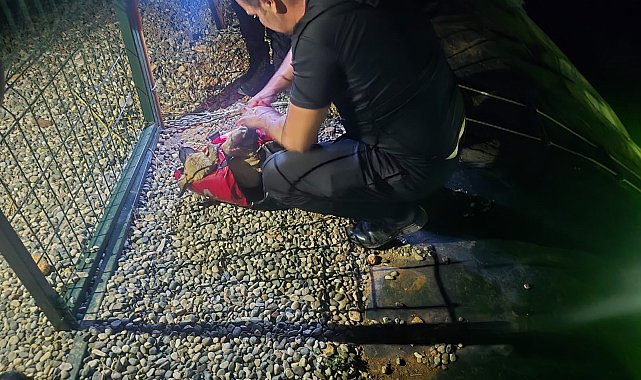 Gölete düşen yavru köpeği dalgıç polisler kurtardı