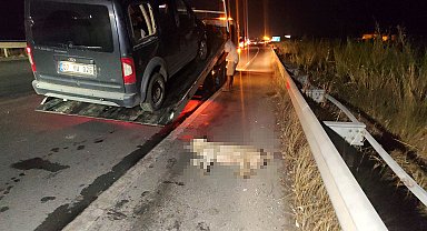 Hafif ticari araç köpeğe çarpıp devrildi, arkadan gelen 5 araç birbirine girdi