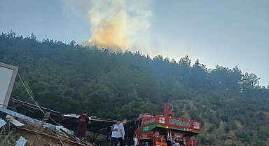 Hatay'da orman yangını