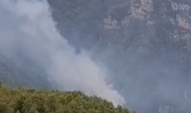 Hatay'da orman yangını