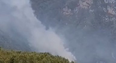 Hatay'da orman yangını