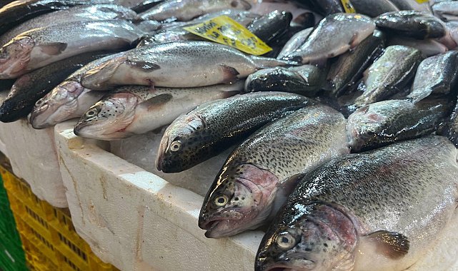 İzmir'de av sezonu başladı, balık tezgahlarında çeşitlilik arttı