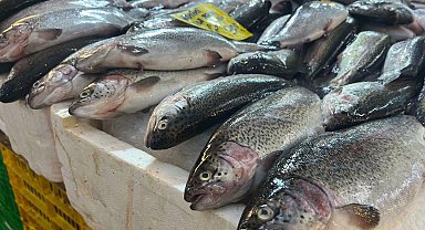 İzmir'de av sezonu başladı, balık tezgahlarında çeşitlilik arttı