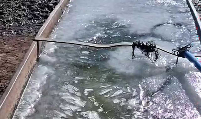 Kars'ta eyül ayında sular buz tuttu