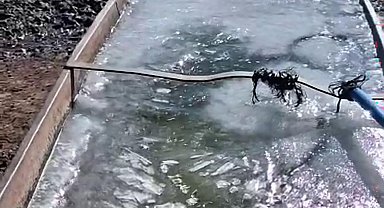 Kars'ta eyül ayında sular buz tuttu
