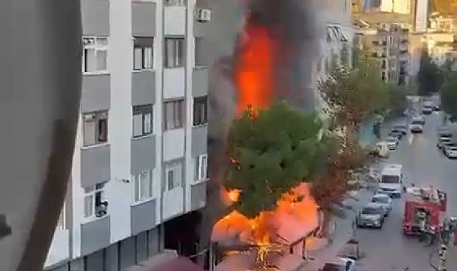 Kartal'da market alev alev yandı