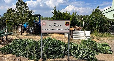 Kilis'te 40,5 kilogram esrar ele geçirildi; 1 gözaltı