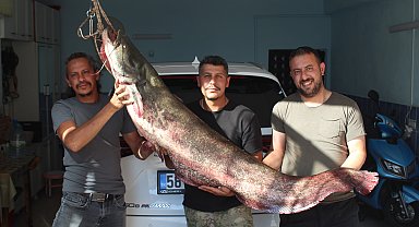 Kızılırmak'ta oltaya 190 santimetrelik yayın balığı takıldı