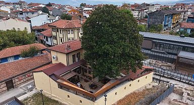 Kökleri 3 asra, hatırası Zeki Müren'e uzanan manolya ağacının altında vefa nöbeti
