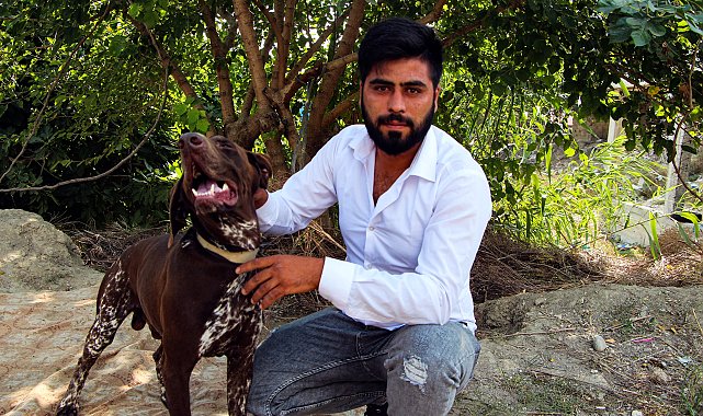 Komşusunun köpeğine, tavuklarını yediği için şiddet uygulamış