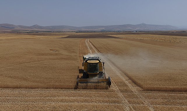 Konya Ovası'nda yağışlar rekolteyi artırdı