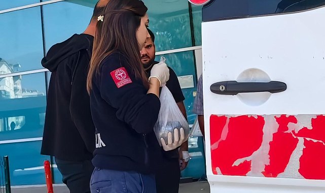 Kopan parmağı buz dolu poşetle hastaneye götürüldü