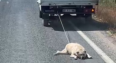 Köpeği kamyonetin arkasına bağlayıp sürükleyerek götürdü
