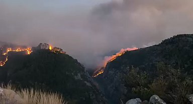 Kozan'da 2 ayrı noktada orman yangını; yerleşim yerleri tedbir amaçlı boşaltıldı
