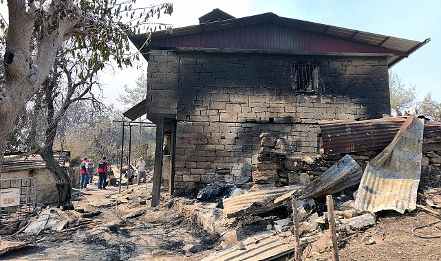 Kozan'da başlayıp, 2 ilçeye daha sıçrayan orman yangını 2'nci gününde