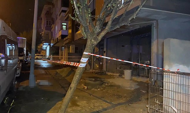 Küçükçekmece'de elektrik akımına kapılan köpek öldü, sahibi yaralandı