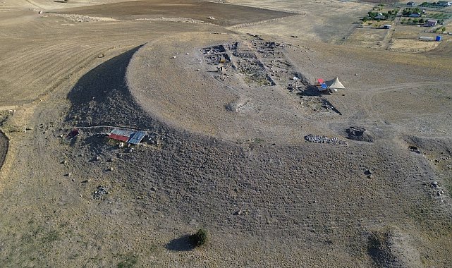 Külhöyük'te, endemik 'Sevgi Çiçeği'nin bilinen en eski tohum kalıntıları bulundu