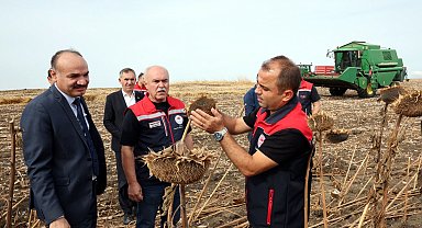 Kuraklıktan etkilenen ayçiçeğinde 3 farklı ekim yöntemi deneniyor