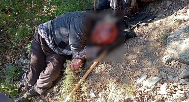 Kuşburnu toplarken 30 metreden yuvarlanıp yaralandı